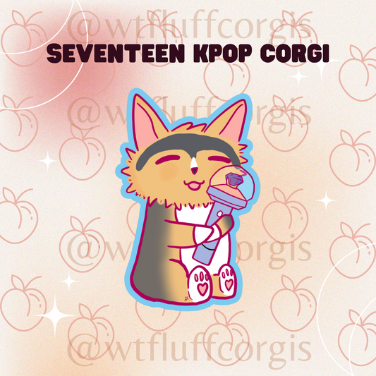 Seventeen KPOP Corgis