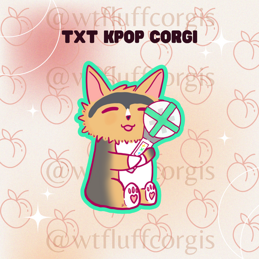 TXT KPOP Corgis